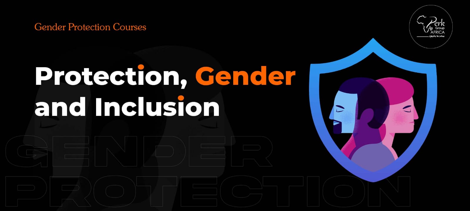 Training Course on Protection Gender and Inclusion